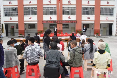 真情回馈社会 关爱特殊教育