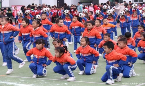 正青春 我在丹凤的这些日子 湖小王海龙老师支教周记 九