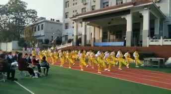 山阳县丹凤县召开 义务教育有保障 联席会