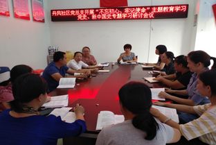 丹凤社区党总支开展 不忘初心 牢记使命 主题教育学习党史 新中国史专题学习研讨会议简报